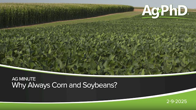 Why Always Corn and Soybeans? | Ag PhD