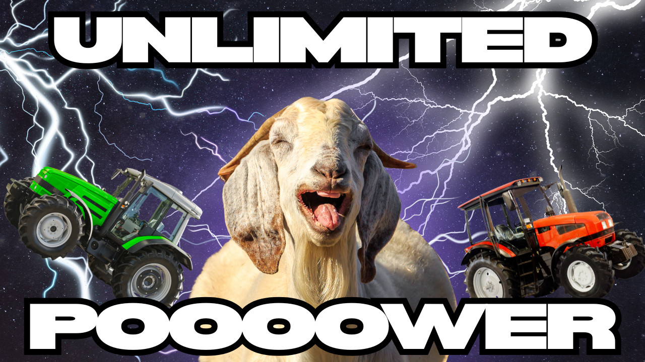 On The Auction Block | WAG in Focus 10-14-25