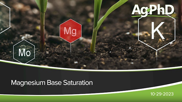 Magnesium Base Saturation | Ag PhD