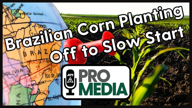 Brazilian Corn Planting Off to Slow S...