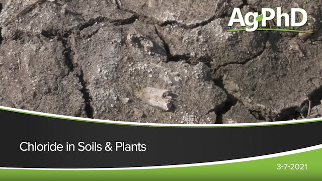 Chloride in Soils and Crops | Ag PhD