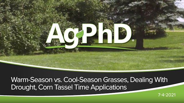 Warm vs Cool Season Grasses, Dealing ...