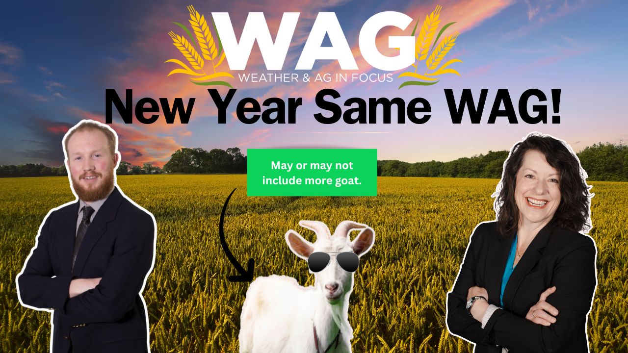New Year Same WAG! | WAG in Focus 1/2/24