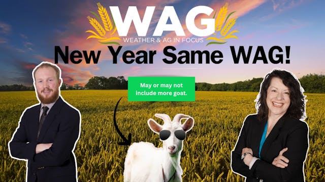 New Year Same WAG! | WAG in Focus 1/2/24