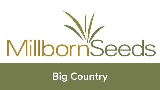 Millborn Seeds - Big Country