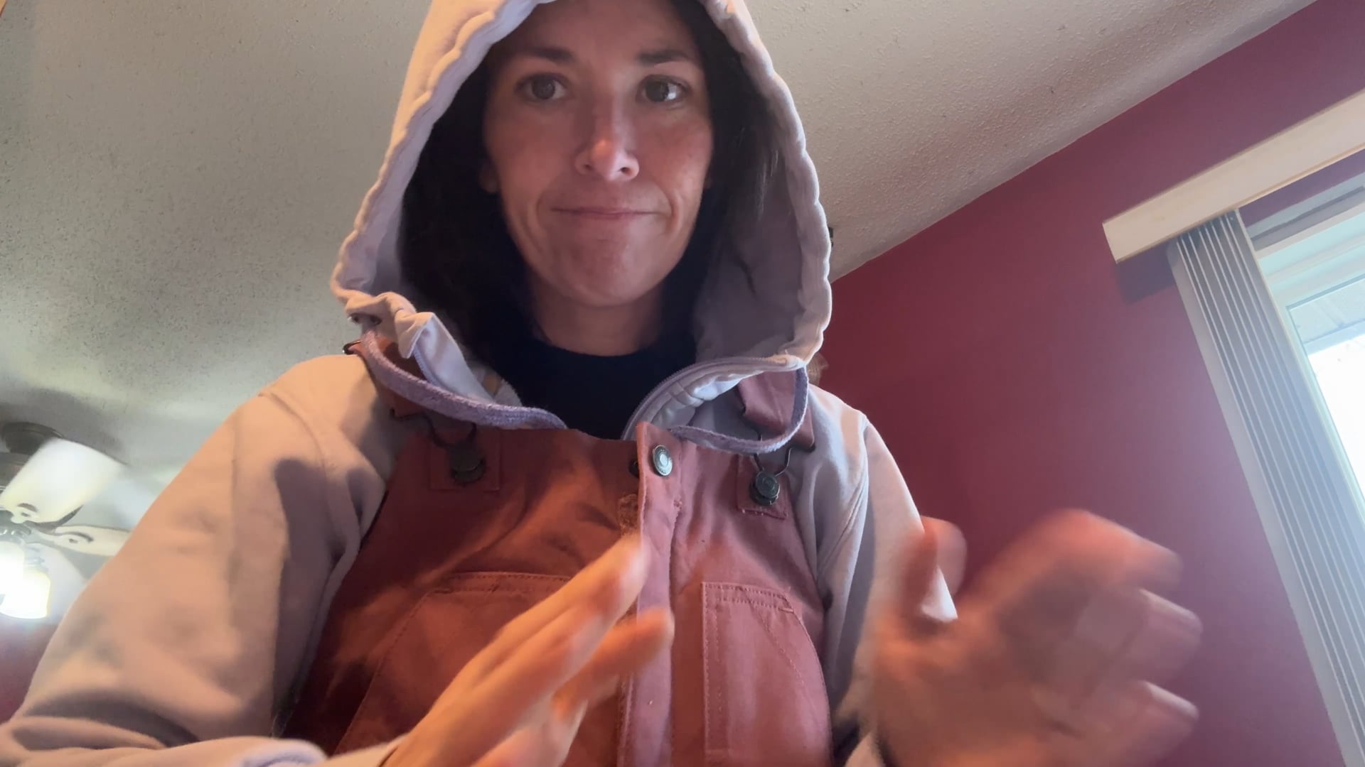 Winter Weather Advisory on a Farm | Chronicles of Kayla