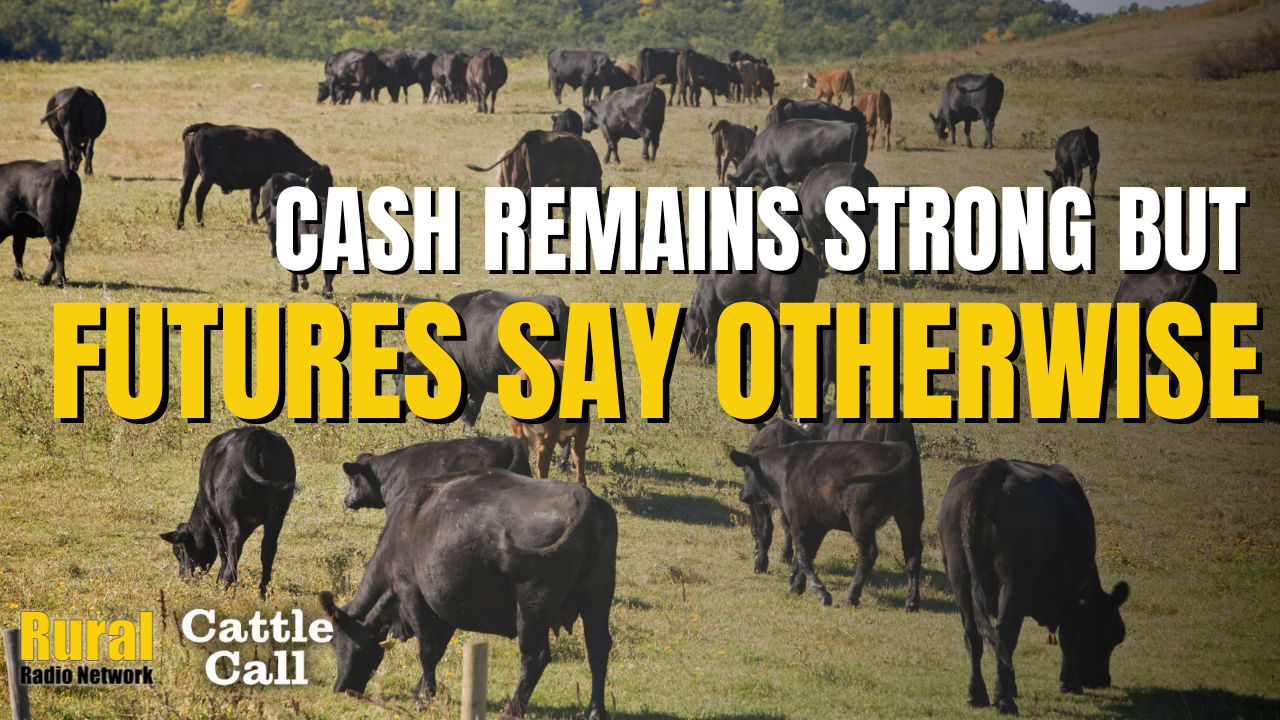 Cash Remains Strong, but Futures Say Otherwise | Cattle Call