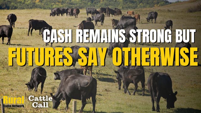 Cash Remains Strong, but Futures Say ...