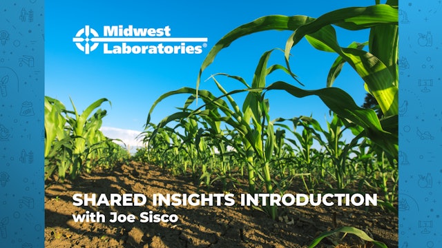 Shared Insights: Introduction | Midwest Labs
