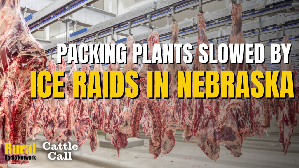 Nebraska Packing Plants See 25% Absenteeism Following ICE Activity | Cattle Call