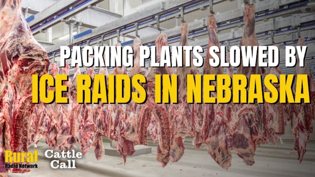 Nebraska Packing Plants See 25% Absen...