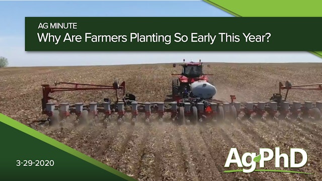 Why Are Farmers Planting So Early This Year? | Ag PhD