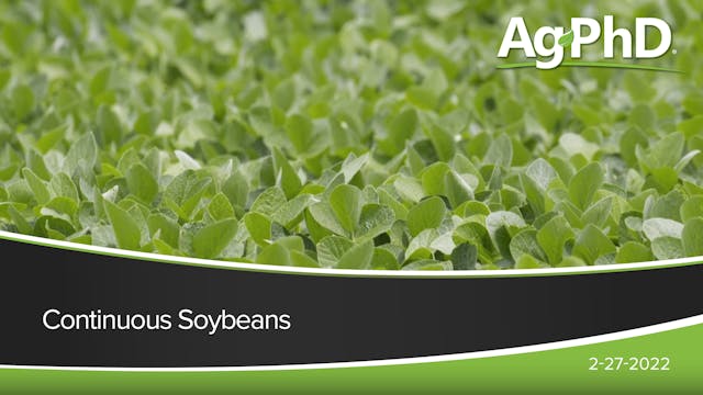 Continuous Soybeans | Ag PhD