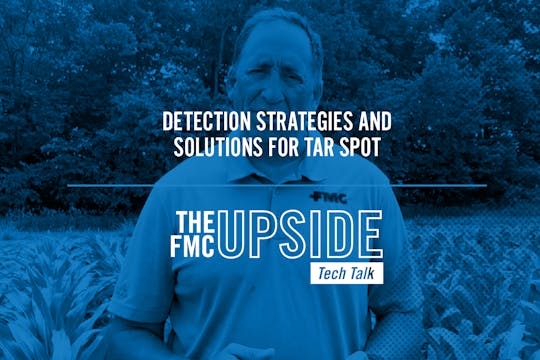 Detection Strategies and Solutions fo...