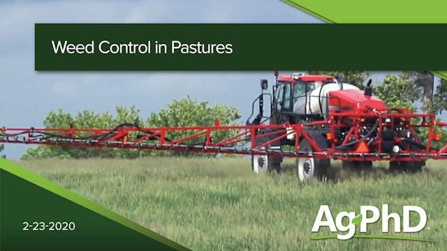 Weed Control in Pastures | Ag PhD