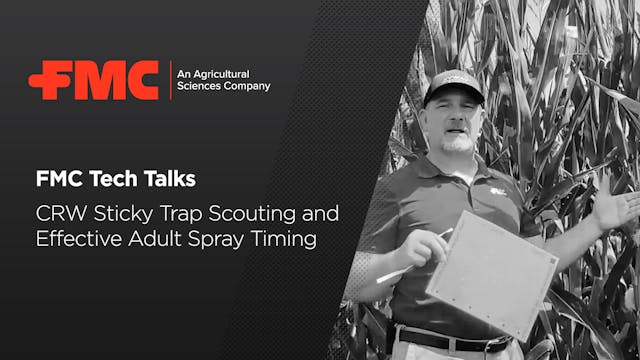 FMC Tech Talk: CRW Sticky Trap Scouti...