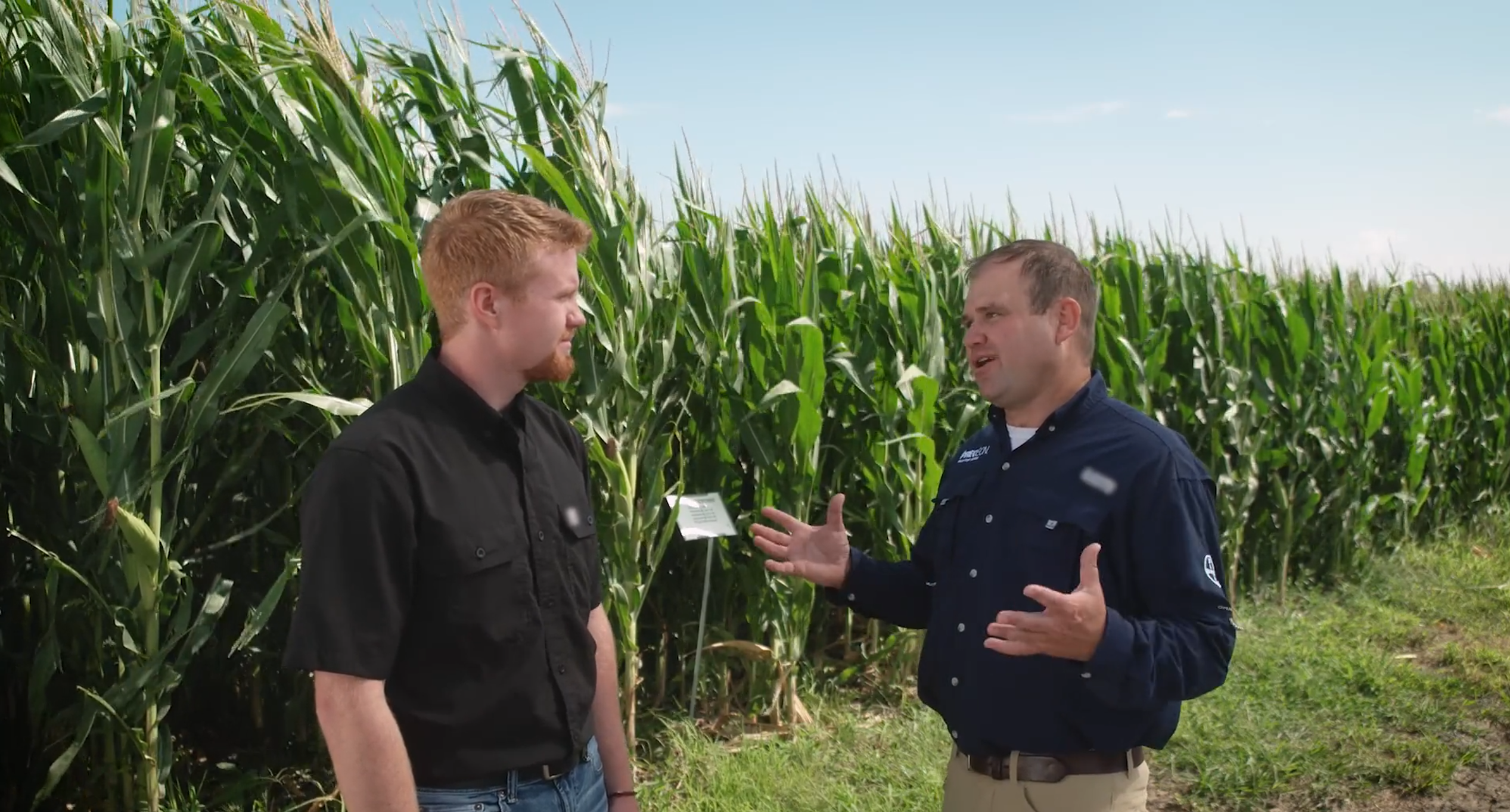 Preceon® Smart Corn | Bayer