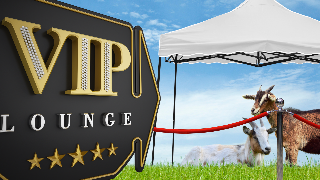 Live at Ag PhD Field Day! | WAG in Focus 07/25/24