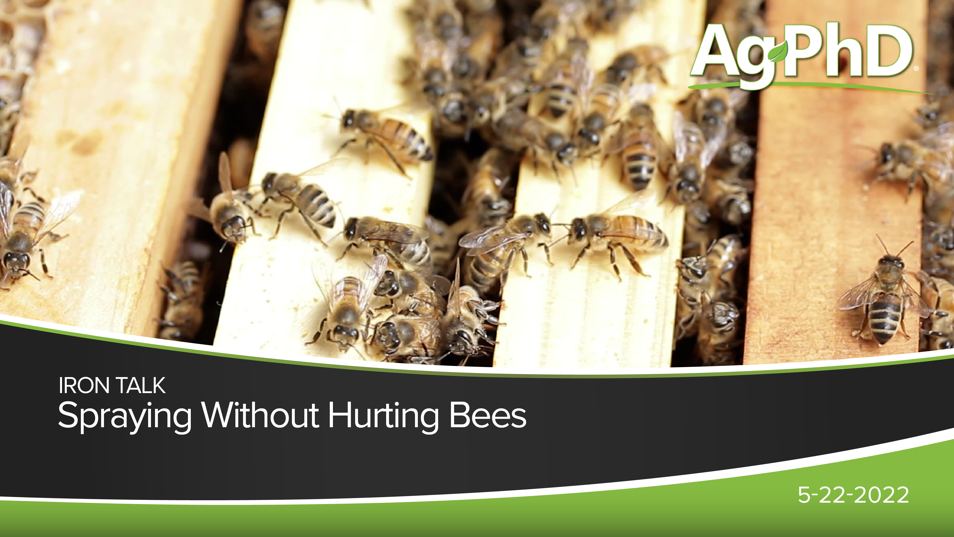 Spraying Without Hurting Bees | Ag PhD