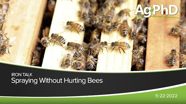 Spraying Without Hurting Bees | Ag PhD