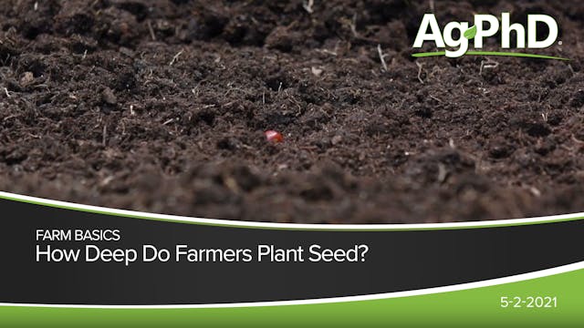 How Deep Do Farmers Plant Seed? | Ag PhD