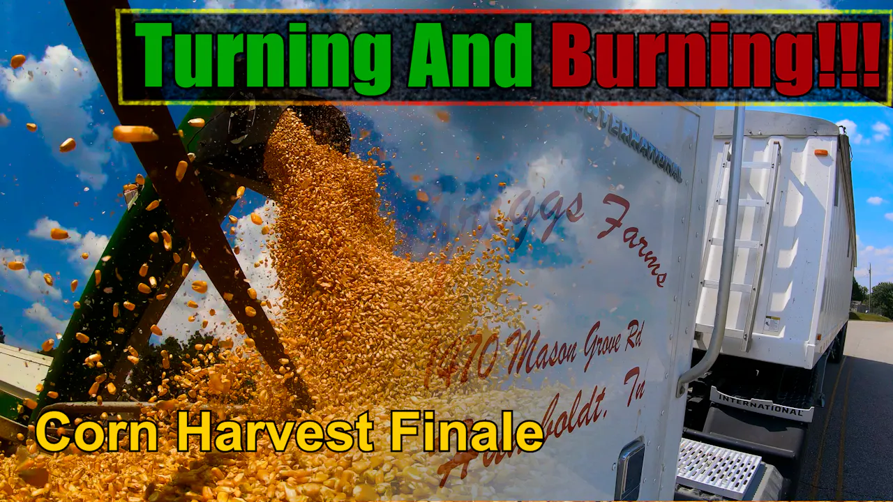 My Most SHOCKING Corn Crop Ever Is Done!!! Corn Harvest Finale | Griggs ...