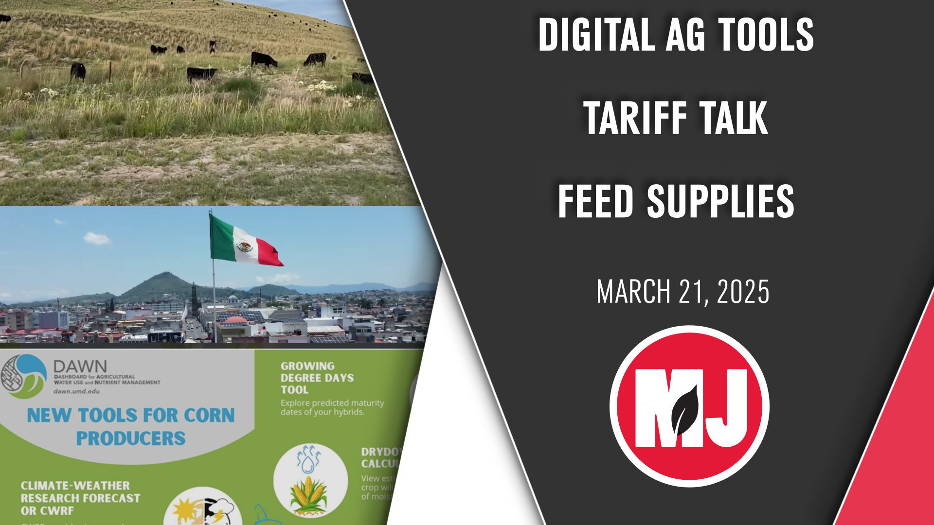 March 21 2025 | Market Journal