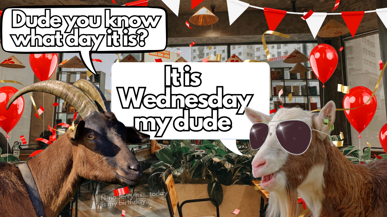 Free for All! | WAG in Focus 11-06-24