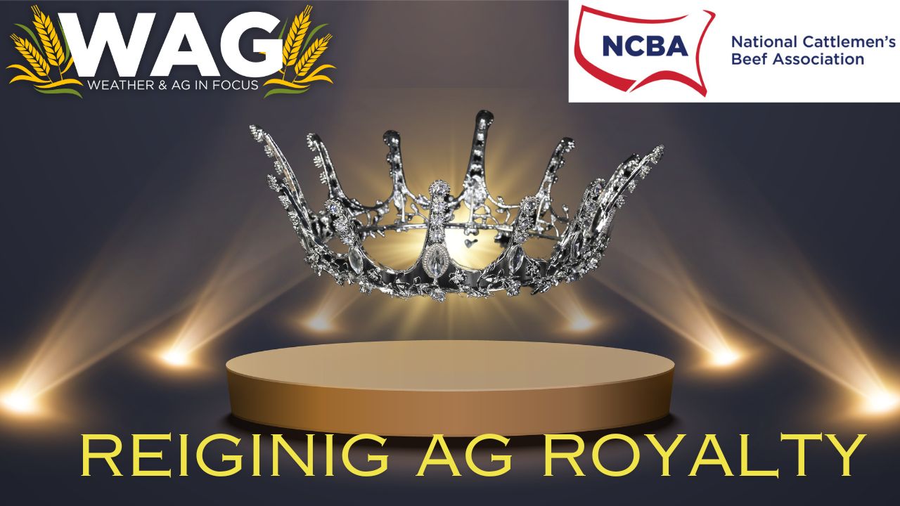 Reigning Ag Royalty! | WAG in Focus 11/28/23