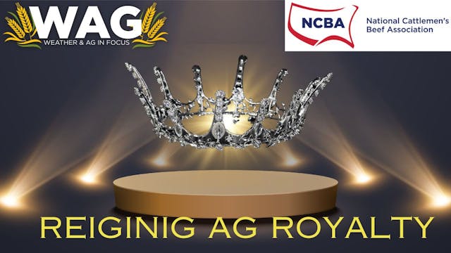 Reigning Ag Royalty! | WAG in Focus 1...