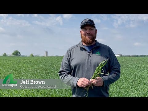 Crop Growth Stages | AgroLiquid
