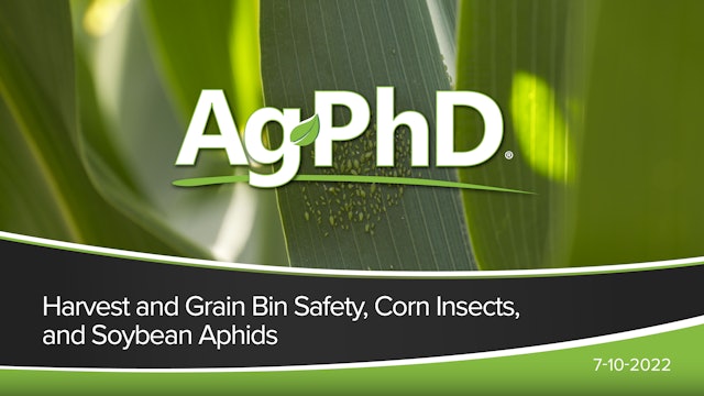 Harvest and Grain Bin Safety, Corn Insects, and Soybean Aphids