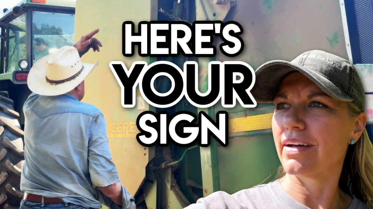 Riding High, Bean Check and Storm Damage || This Farm Wife