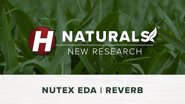 NuTex EDA & Reverb | Hefty Naturals