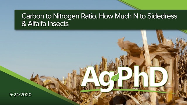Carbon Nitrogen Ratio, How Much N to Sidedress & Alfalfa Insects | Ag PhD