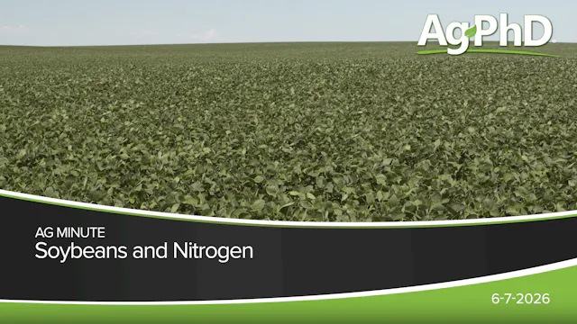 Soybeans and Nitrogen | Ag PhD