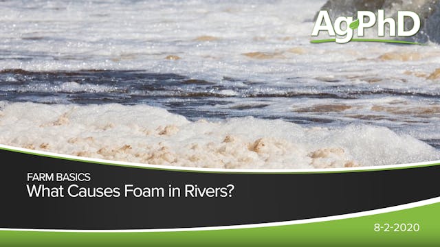 What Causes Foam in Rivers? | Ag PhD