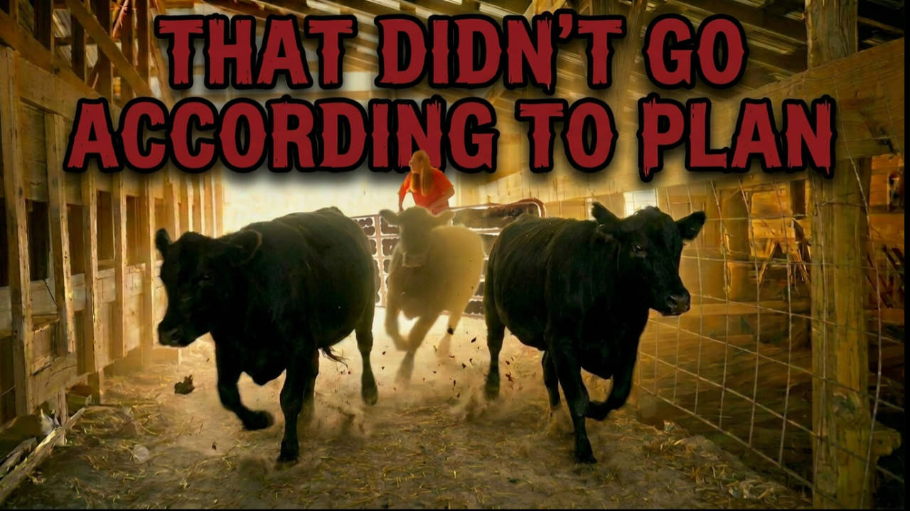 That Didn't Go According to Plan | Griggs Farms