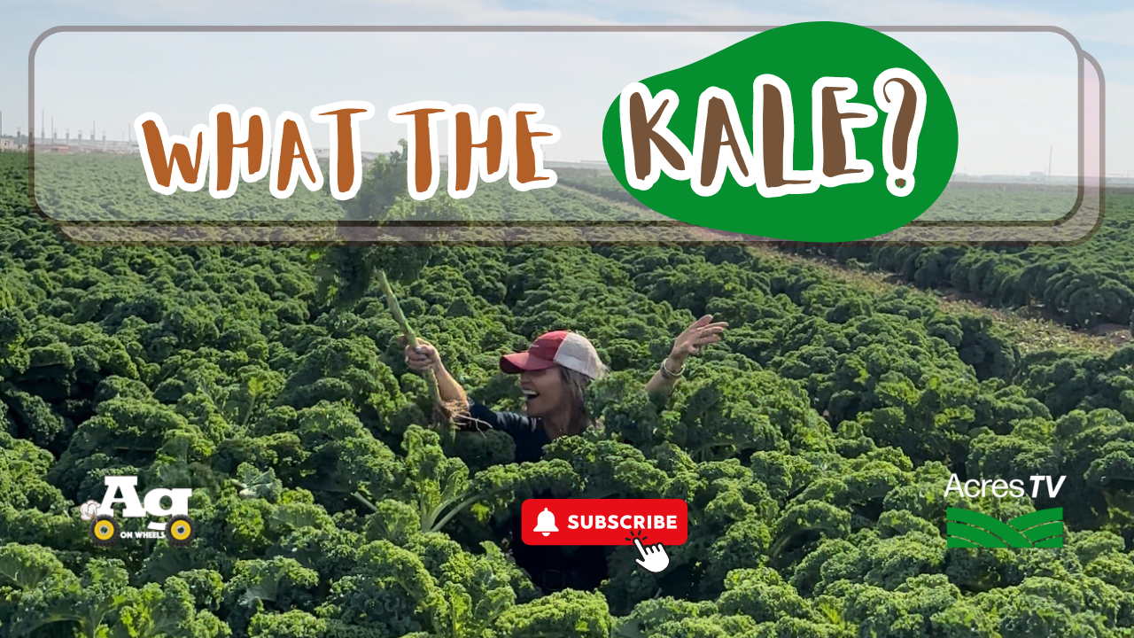 Ag on Wheels | Veggie Minute - WHAT THE KALE