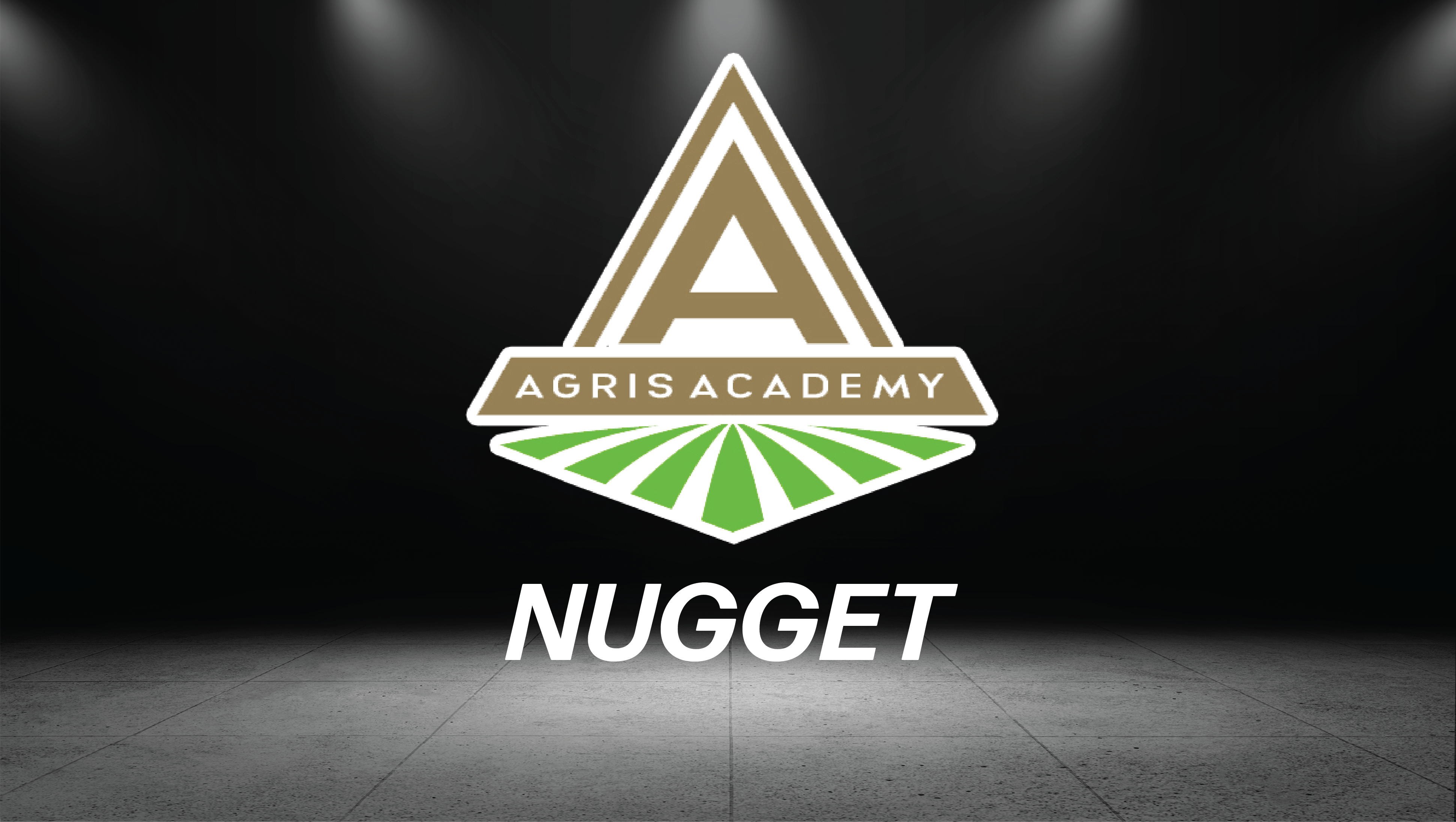 Nuggets | AgrisAcademy