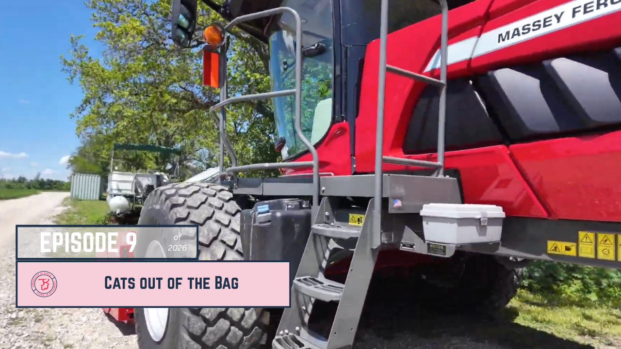 Cats Out of the Bag | Chronicles of Kayla