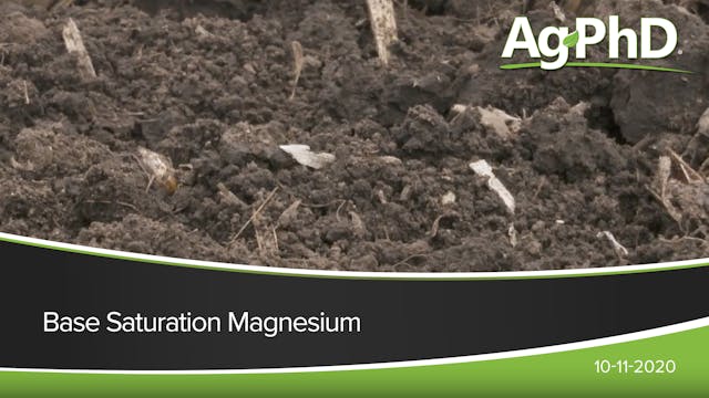 Base Saturation Magnesium | Ag PhD