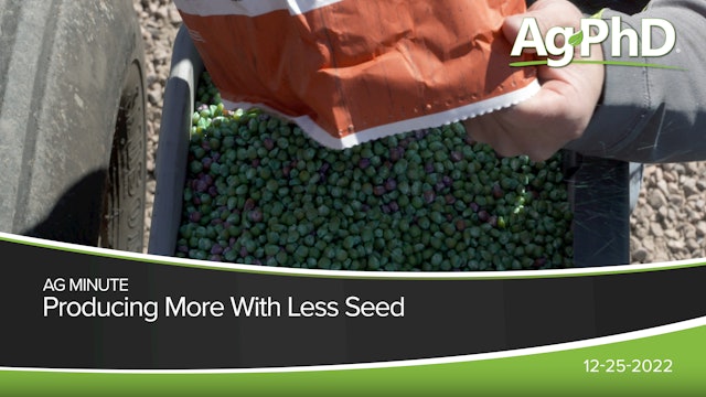 Producing More With Less Seed | Ag PhD