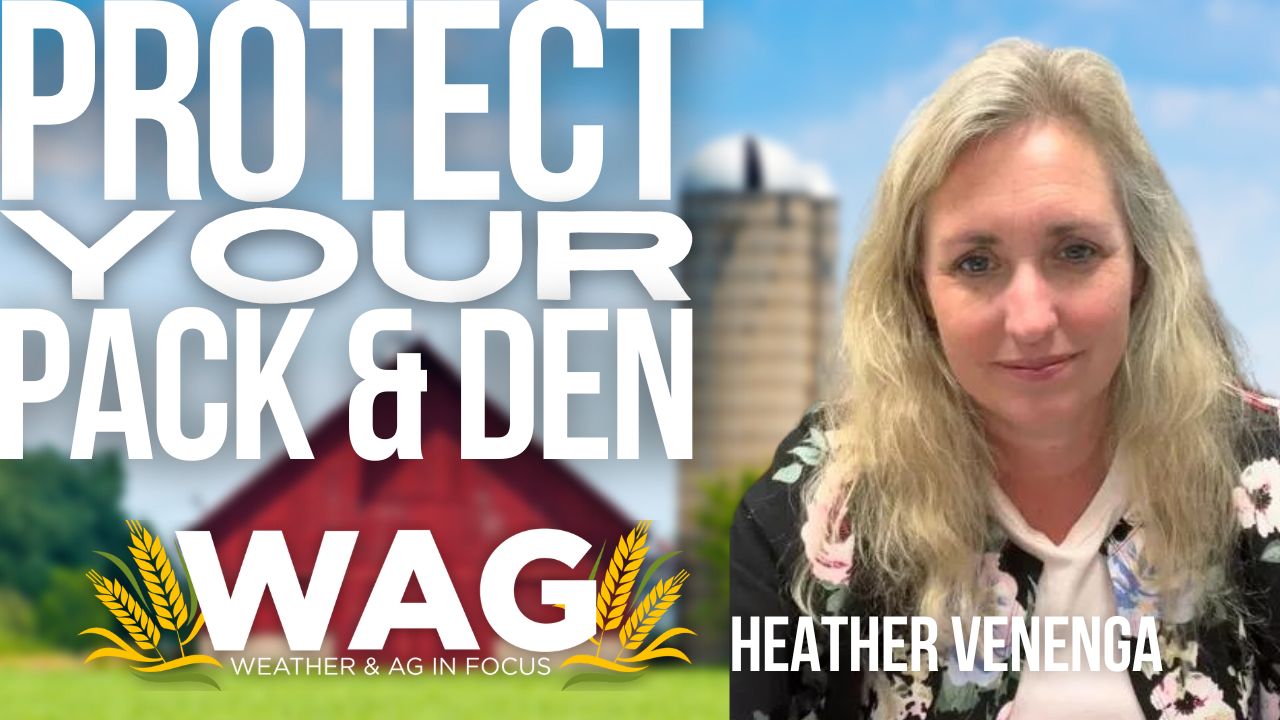 Protect Your Pack & Den! 11-9-22 WAG In Focus