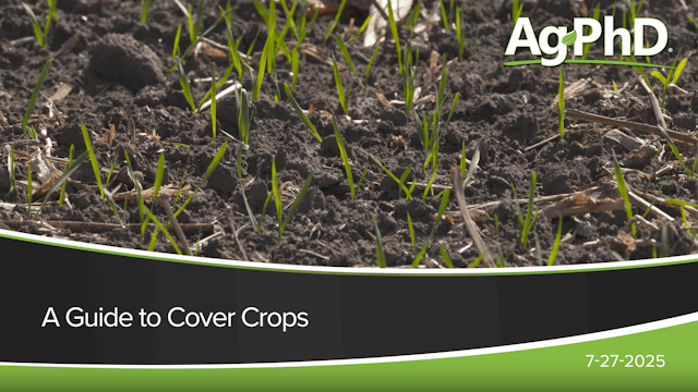 A Guide to Cover Crops | Ag PhD