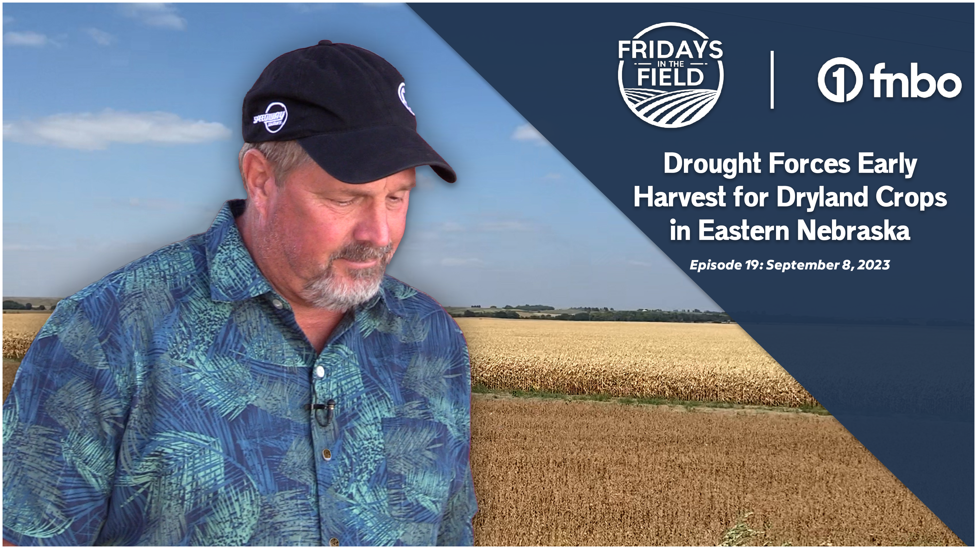 Extreme Drought Forces Early Harvest for Nebraska Dryland Crops | Rural Radio