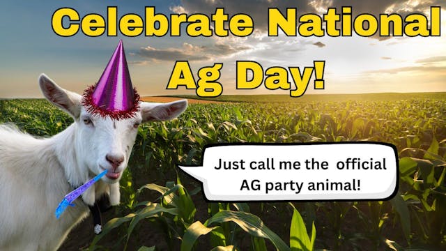 Celebrate National Ag Day! | WAG in F...