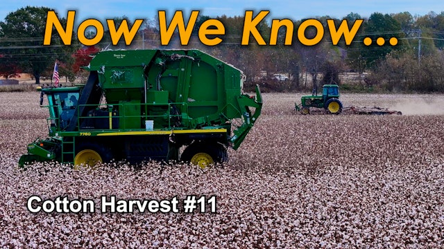 How Much Did Replanting Hurt Our Yields Cotton Harvest #11 | Griggs Farms