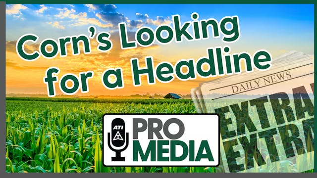 Corn's Looking for a Headline | ATI P...