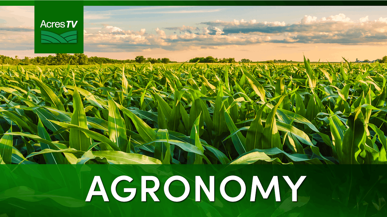Agronomy, Free Full-Text